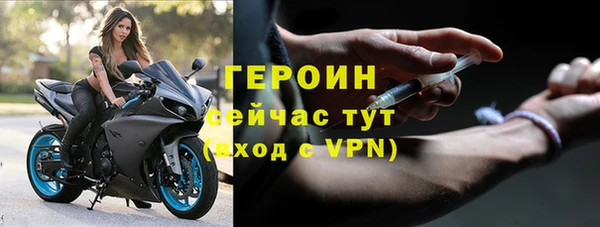 гидра Елабуга