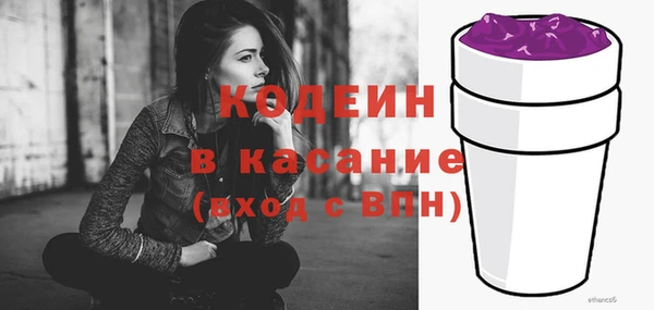 гидра Елабуга