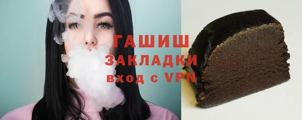 гидра Елабуга