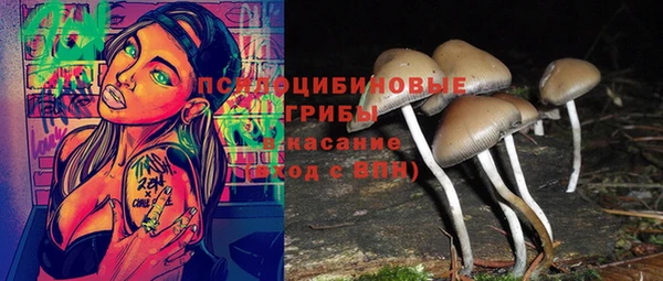 a pvp Елизово