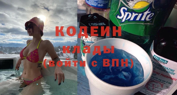гидра Елабуга
