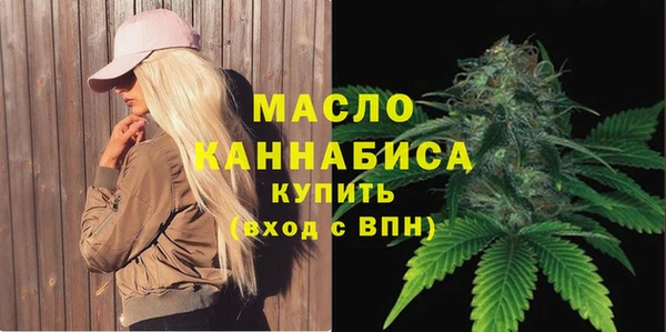 гидра Елабуга