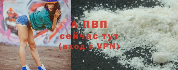 гидра Елабуга