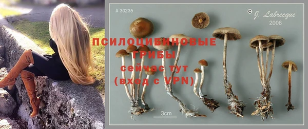гидра Елабуга